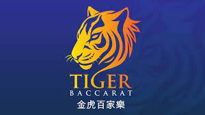 How to Play Tiger Baccarat Slots Rules and Game Mechanics