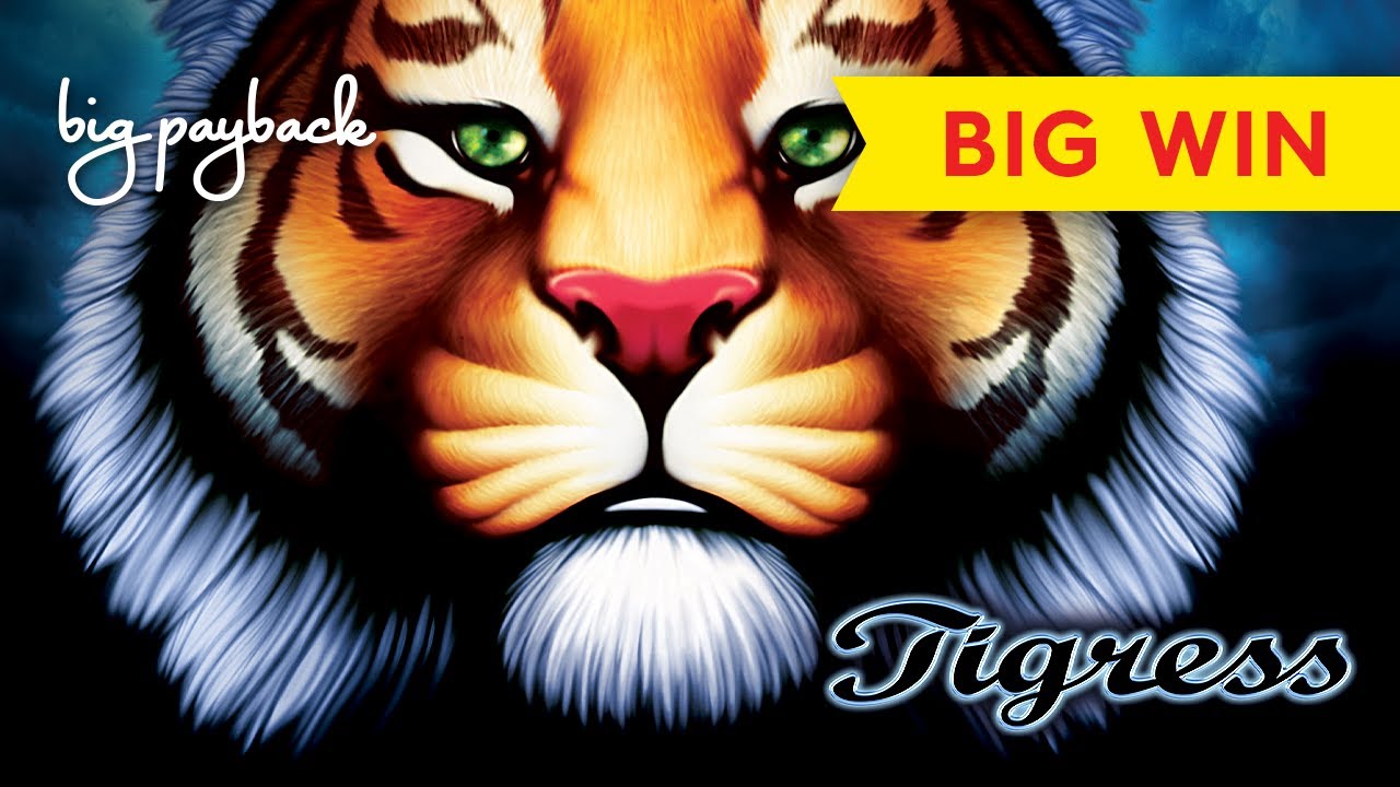 Strategies for Maximizing Winnings in Tigress Slots